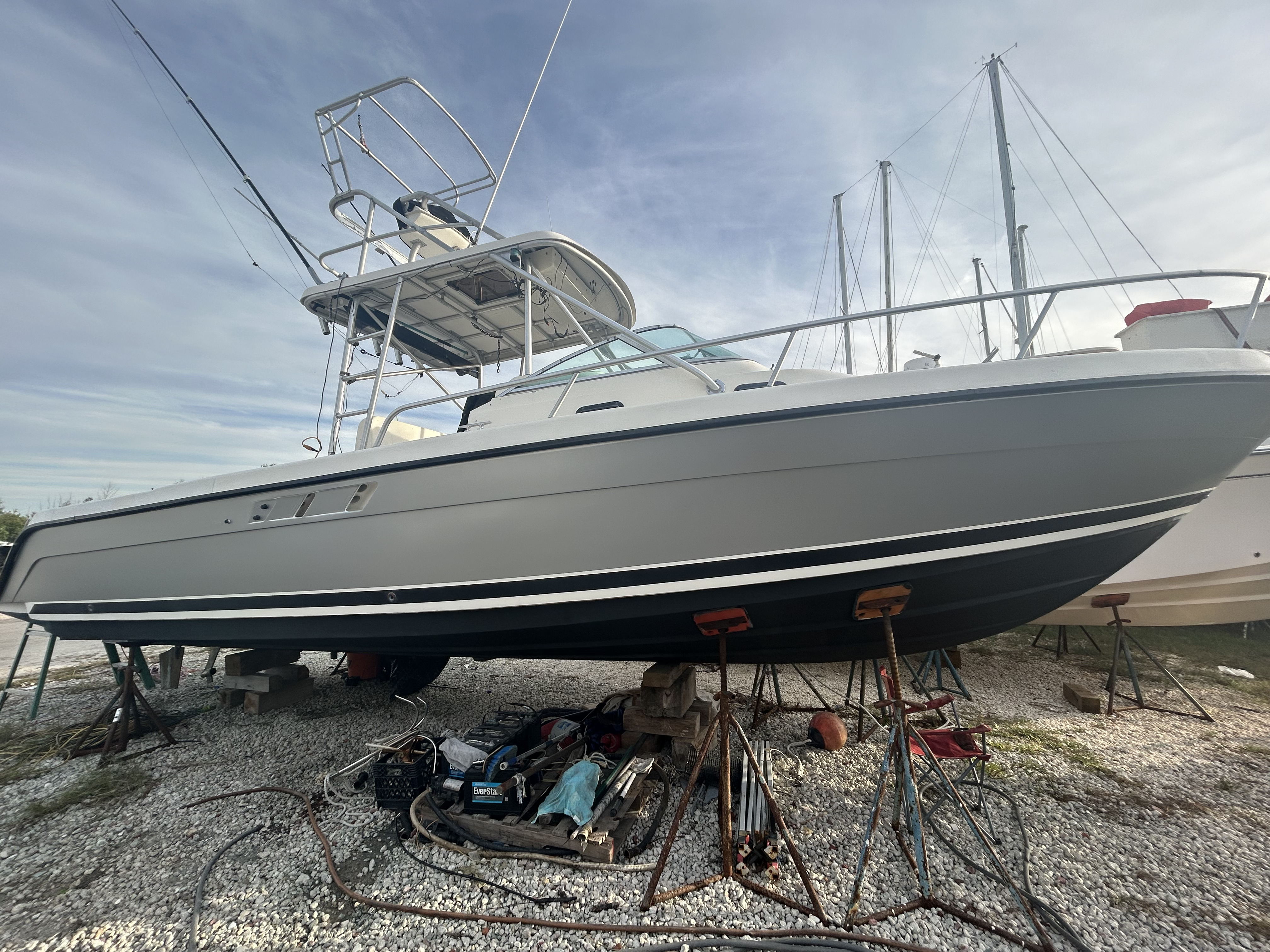 Custom shark-mouth boat wrap
