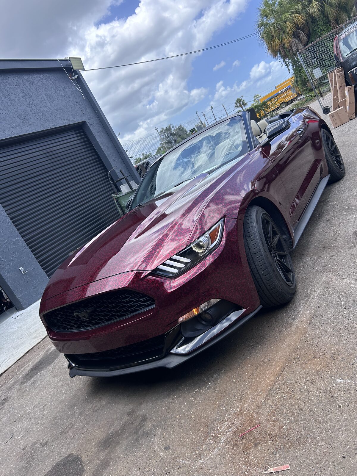 Rival Graphix wrap project 5